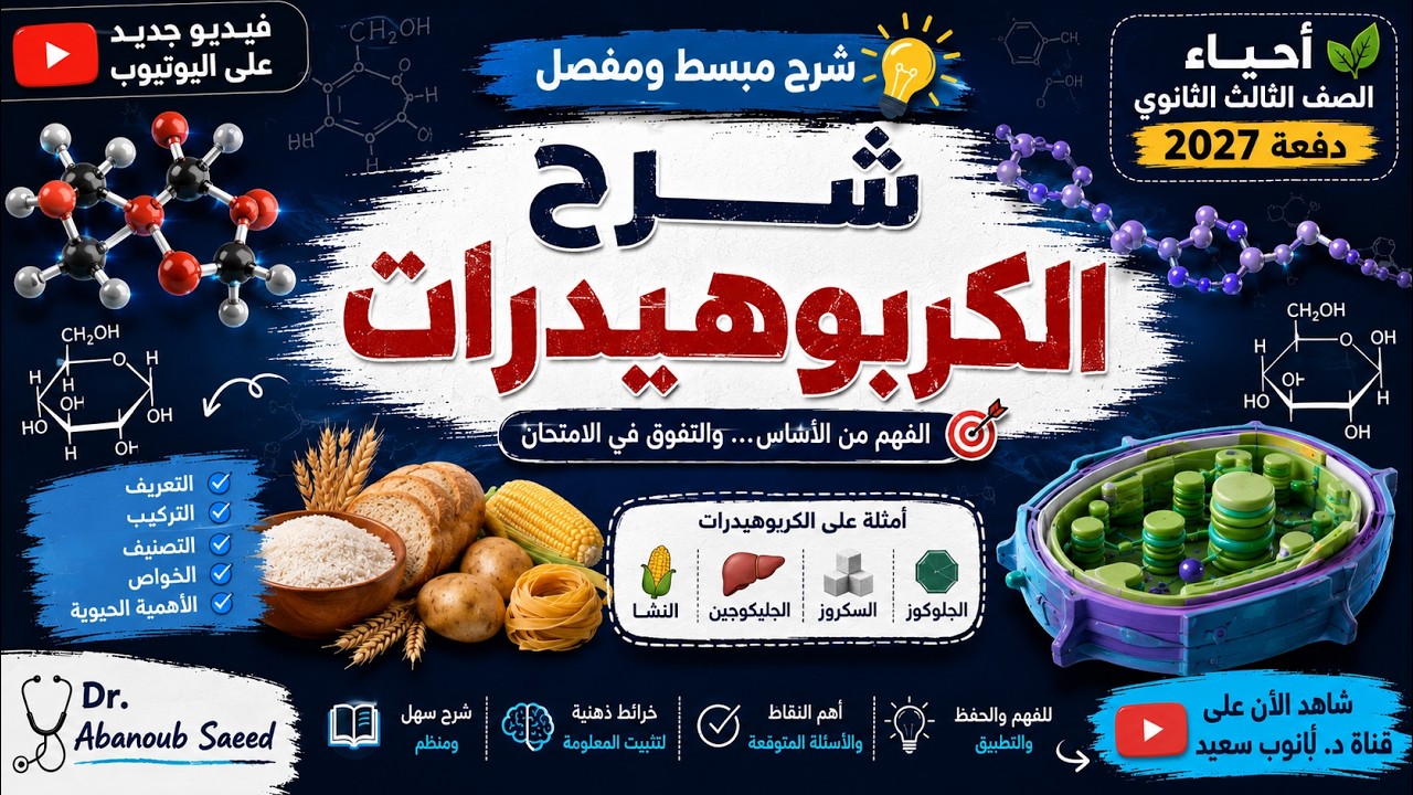 تأسيس أحياء